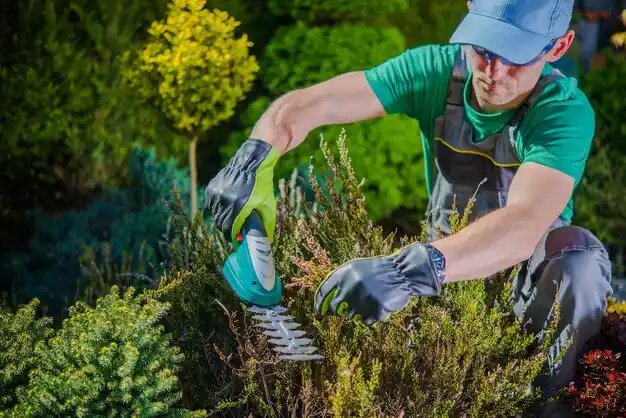 landscaping services Lafayette